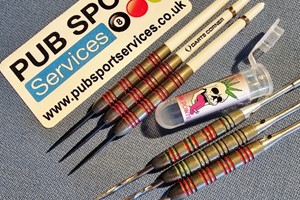 Darts Re-Pointing gallery image